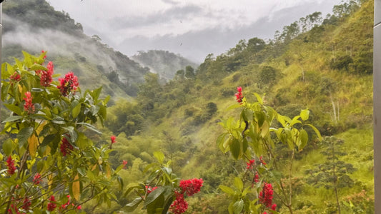El Vergel - Colombia
